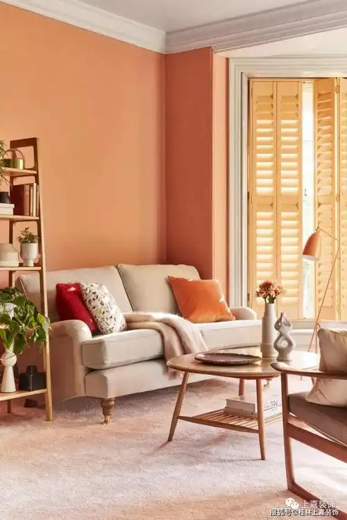 客厅油漆创意:18种配色方案_颜色