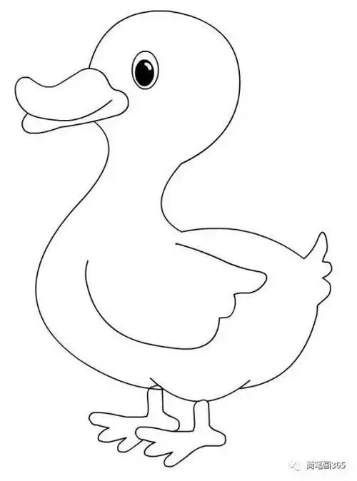 可爱的小鸭子儿童画作品 - 5068儿童网凶恶的动物图片简笔画图片