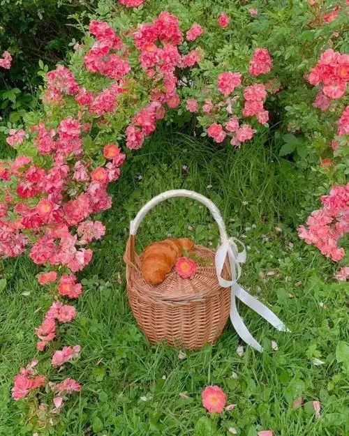 ins风微信朋友圈背景图˂᷅_腾讯新闻