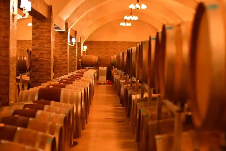 2019年宁夏贺兰山东麓产区酿酒记