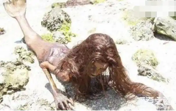 美人鱼真身遗体图片黑鳞鲛人真实面目无比喜欢吃人肉未解之谜