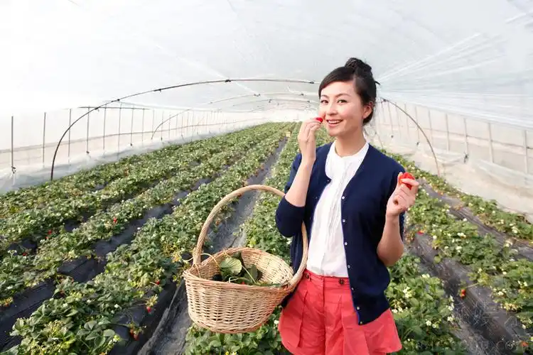 戴娇倩推自然系秀色写真 灵动可人现小清新