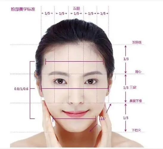 整形师眼中的标准五官,你达标了吗?