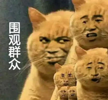 围观群众喵星人萌气来袭喵星人萌萌哒表情