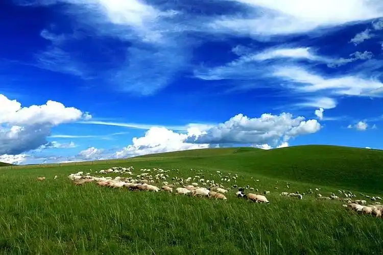 看世界 沙漠 草原-在线订票-互动吧