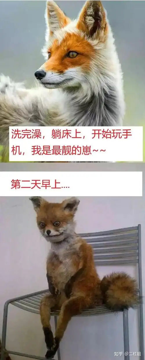 你看过哪些让人笑喷的搞笑图片十二