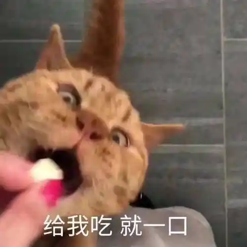 你是一盘士豆丝又土又逗又属丝表情包 - 表情图