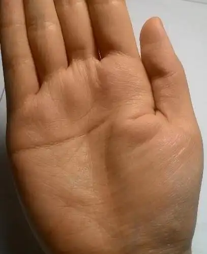 手上有反抗线的女人命中注定是苦命人