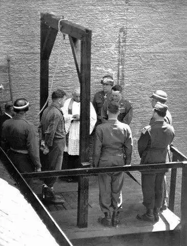 纳粹十大战犯绞刑现场有的发表演说有的乞求怜悯有的