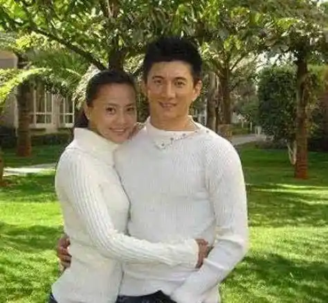 很多人都在渡劫,吴奇隆渡的"劫",没几个人能扛的住_父亲_杨采妮_外债