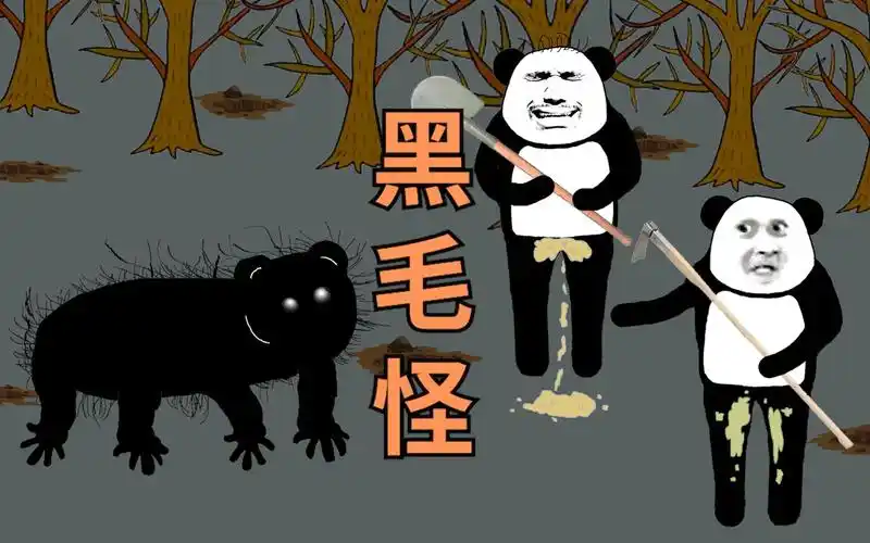 那晚在回家路上,遇到一个长满黑色长毛的怪物.