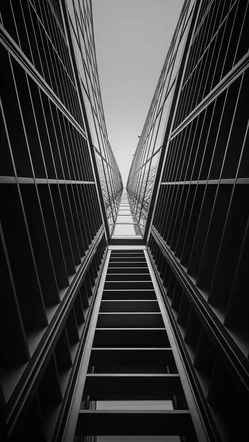 高清手机壁纸总有你喜欢的类型黑白系列 第二弹