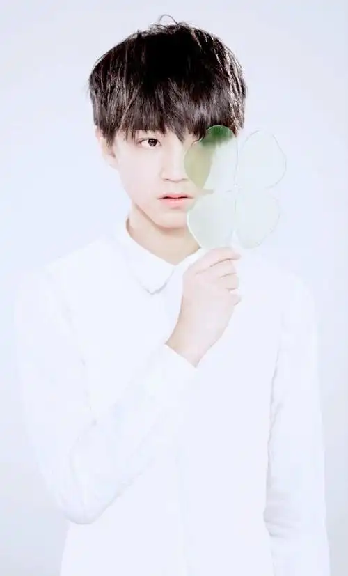 王俊凯登上富豪榜,年仅17岁,身价已达2.48亿 - 114货源网