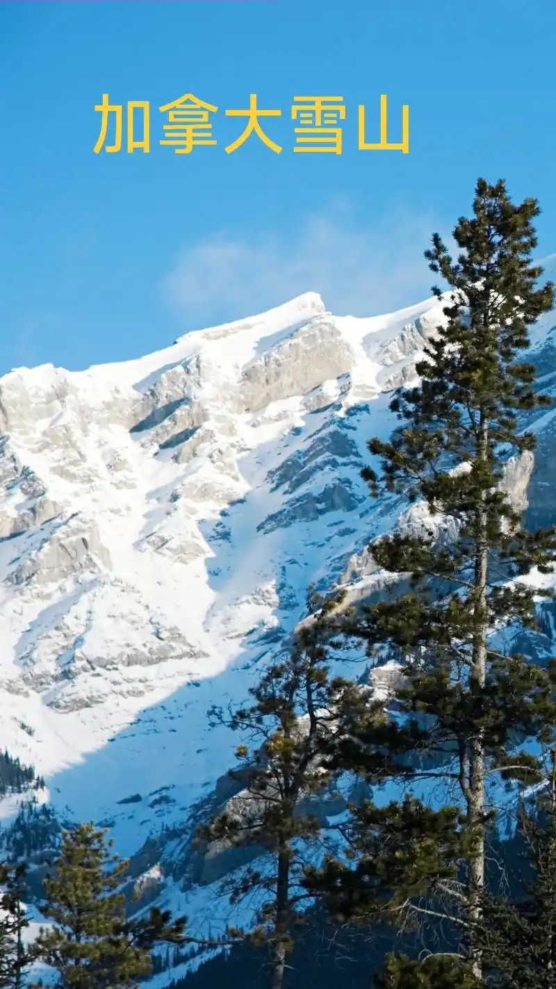 抖音图文来了  #带你看温哥华雪山风景#拥抱自然#加拿大雪 - 抖音