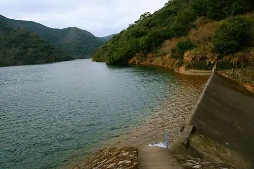 游春晓红山水库拍茶花