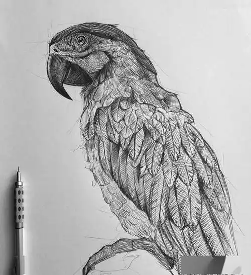 线条清晰的自动铅笔素描,带辅助线!_smdsart_网络_素材