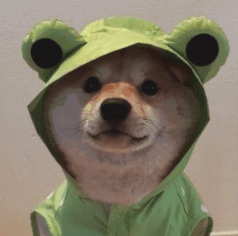 dou鱼丶阿楠的鱼吧_斗鱼鱼吧