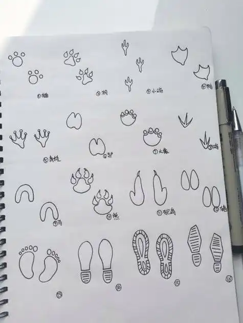 怎么画动物脚印简笔画