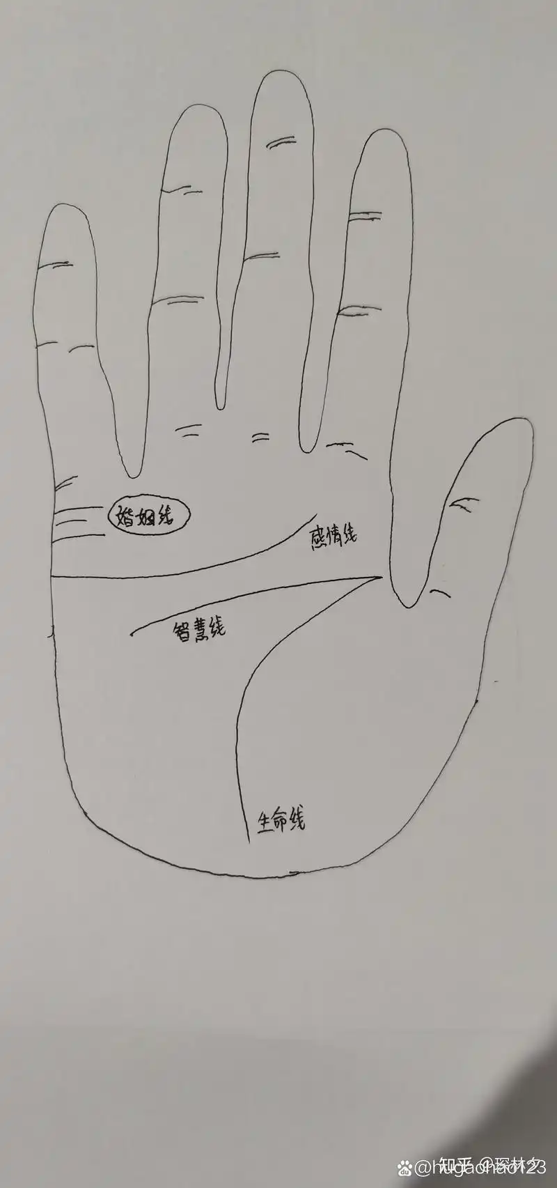手相浅谈婚姻线