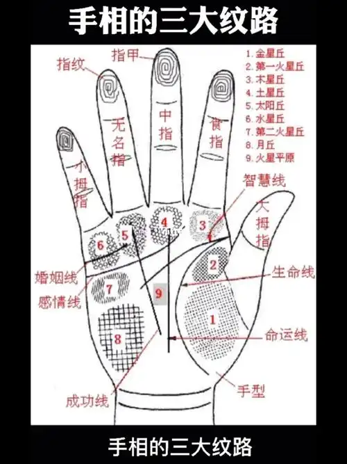 手相的三大纹路_手相_星座命理_星座命理其他