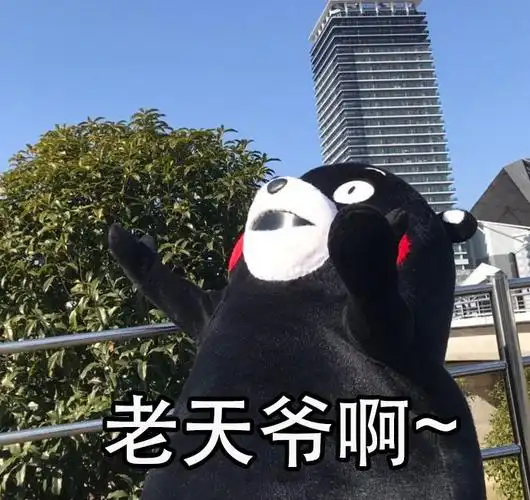 老天爷啊一套日常实用的爷表情包熊本熊表情