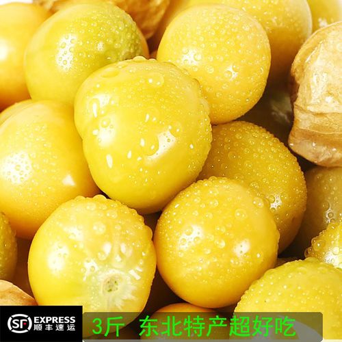 金灯姑娘果新鲜好吃罕见稀有古怪北方水果3斤 东北特产不常见水果