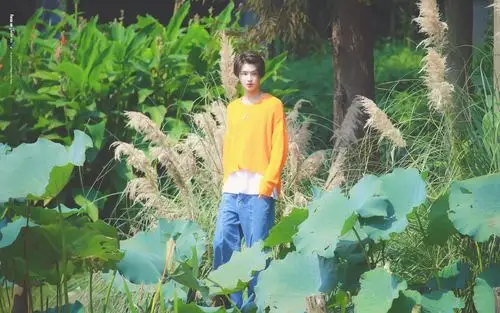 微博@tttangsiqi 黄明昊 - 堆糖,美图壁纸兴趣社区