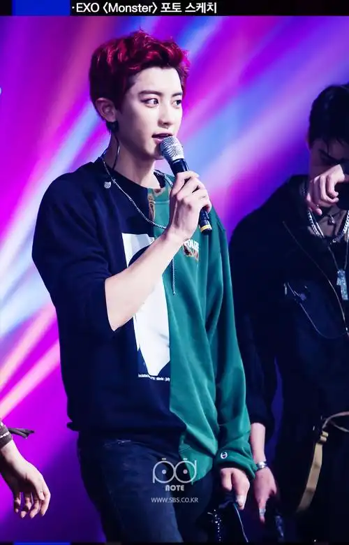 exo monster 朴灿烈