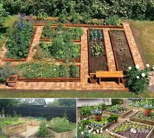 别人家的菜园竟然比你家的花园还美