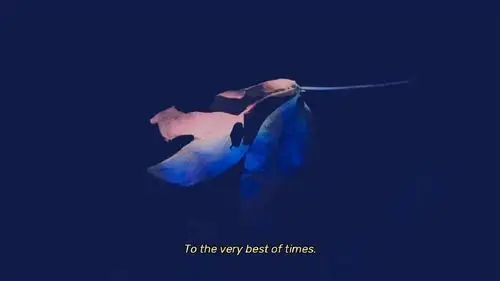 江孑蓝色系唯美静物背景图