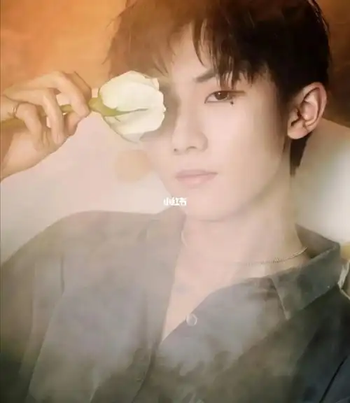 马嘉祺卡布奇诺玫瑰