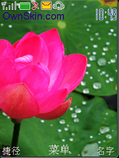 吾主题手机主题: 彩虹荷花