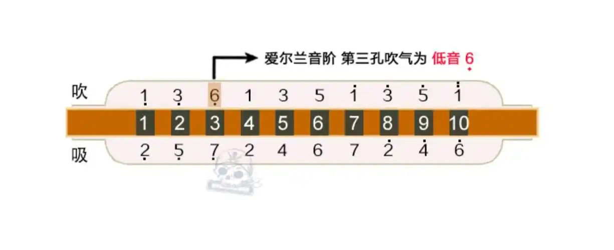 日本suzuk铃木i十10孔布鲁斯蓝调口琴paddy爱尔兰音阶定制有低音6m20