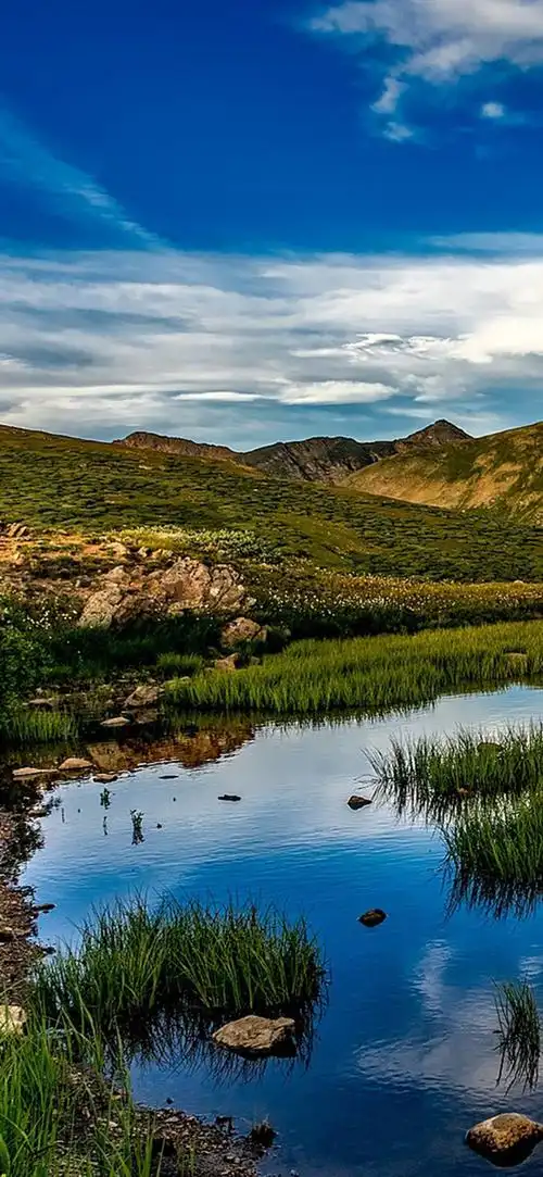 壁纸|高清手机壁纸