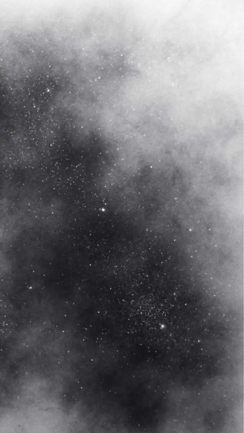 1200_2133竖版 竖屏