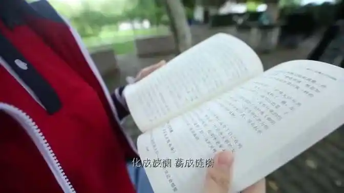 构晗星《人生不过一场绚烂花世》河南省实验中学学生-音乐视频-搜狐