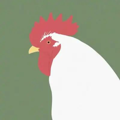 6人头像组合套装头像 团体头像6人群体系列头像