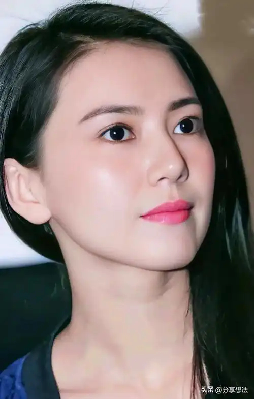 高圆圆明星壁纸(20)