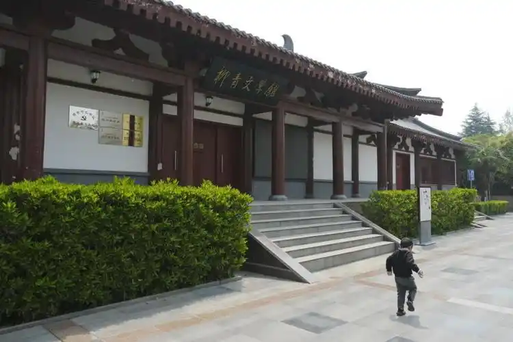 柳青广场见闻【严建设】