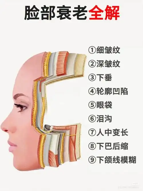 适应症,y美抗衰,抗初老的方法很多,比如:1 针对皮肤表层的化学剥脱术