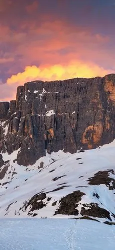 1080_2340竖版 竖屏