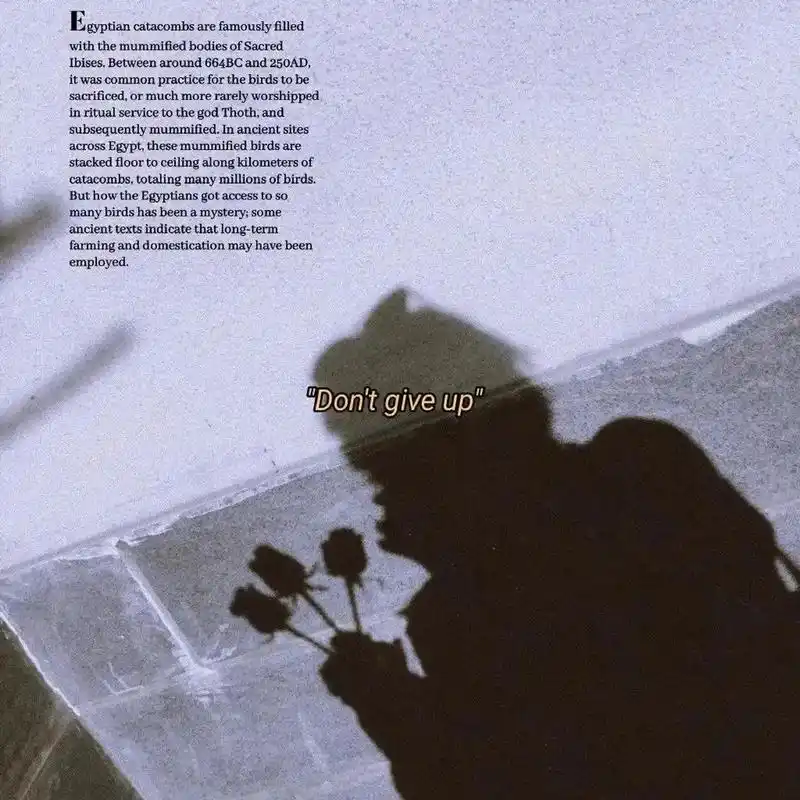 阿杜《离别》[flac/mp3-320k 阿杜《离别》[flac/mp3-320k]无损音乐