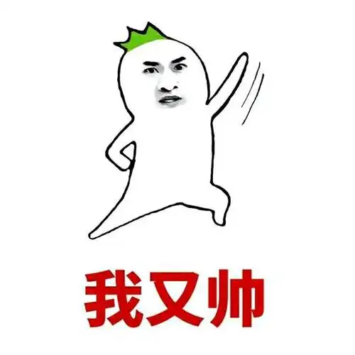 我又帅gif斗图gif滑稽gif搞笑gif