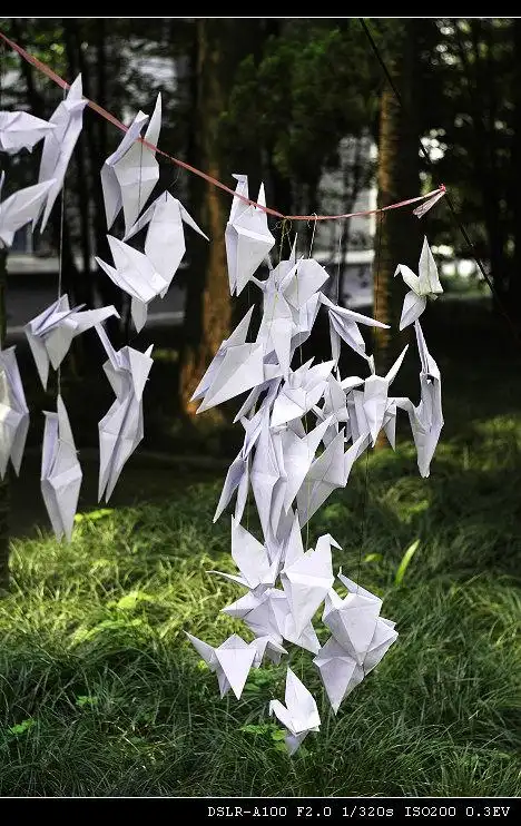 临时论坛:关注汶川大地震 > [分享]521上海,最后的公祭日 祈祷 千纸鹤