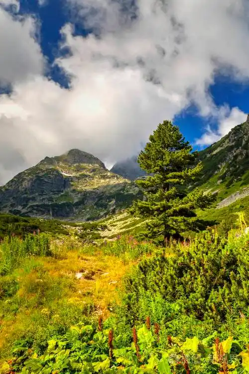 美丽的风景在高山照片-正版商用图片08etie-摄图新视界