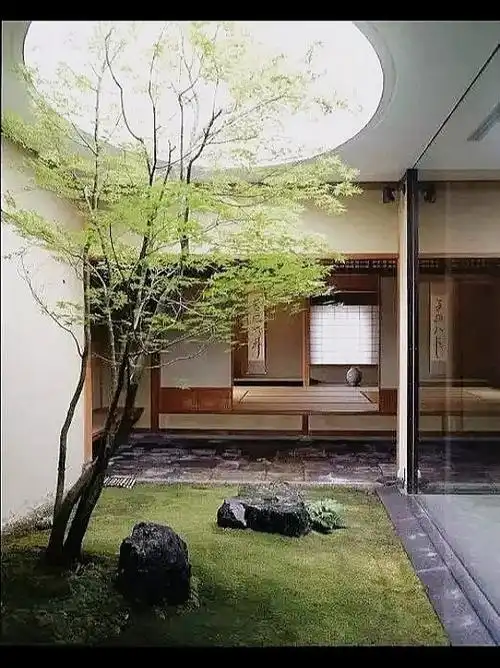 天井室内景观禅意留白