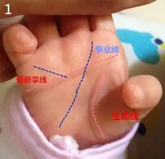 算网杨兴志手相算命,这种手相的孩子都是好命之人!微:261817098