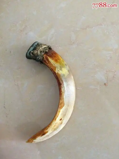 民国老野猪牙~挂件~!保真包老~!