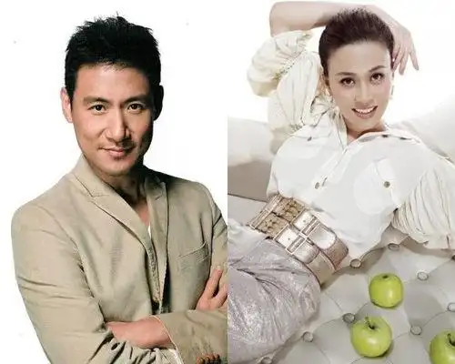 张学友那英确认亮相2013年央视春晚(图)