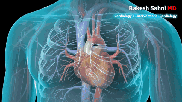 提防"心脏病"年轻化,年轻已不再是资本!_研究